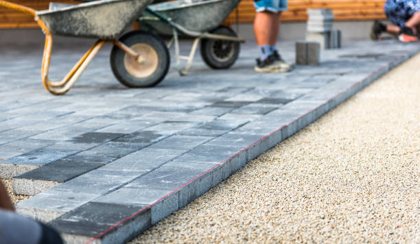 Best Driveway Overlay Services  in Lexington, MN