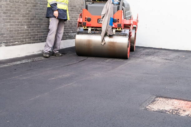 Best Driveway Border and Edging  in Lexington, MN